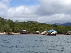 Wrecked boats in the creek, Cairns